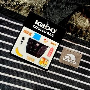 IGLOO cooler bag fits 8 cans black and white stripes.
